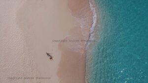 promenade solitaire Vue du ciel plage sable rose et bleu océan aux Bermudes