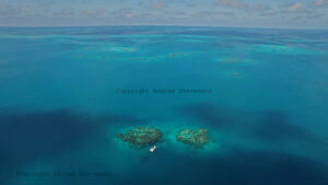 Navigation bateau aux Bermudes/ Variations de bleus/ Beauté des océans/Coraux des Bermudes