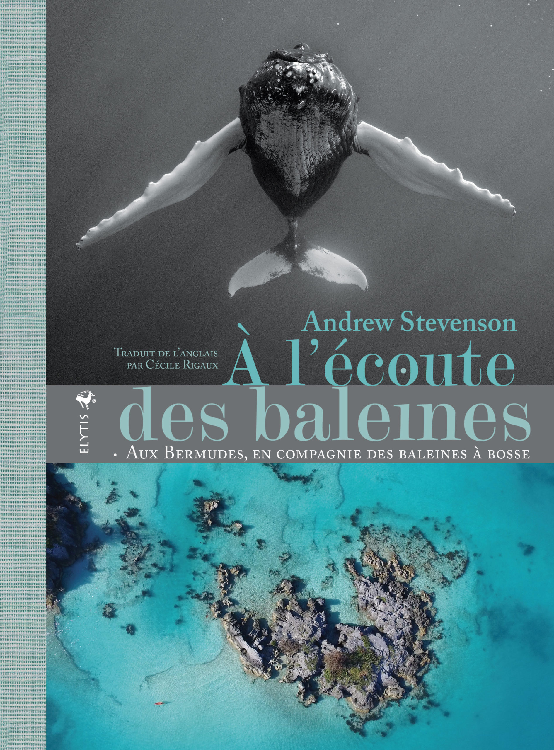 couverture du livre A l'écoute des baleines d'Andrew STEVENSON